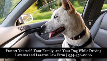 Protect Yourself, Your Family, and Your Dog | Fort Lauderdale and Weston Personal Injury Attorneys