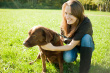 14938608-young-woman-with-labrador.jpg